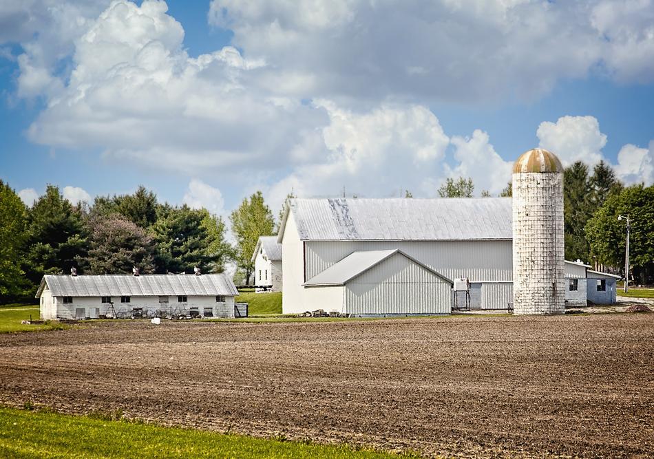 white new Barns