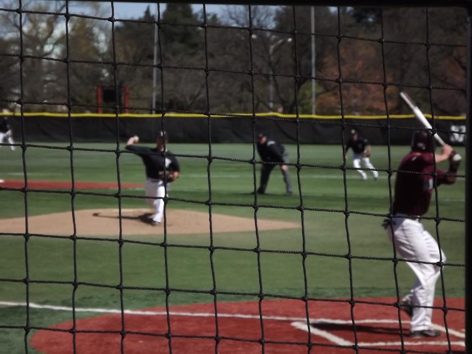 Baseball players on the colorful field with the net, among the colorful trees