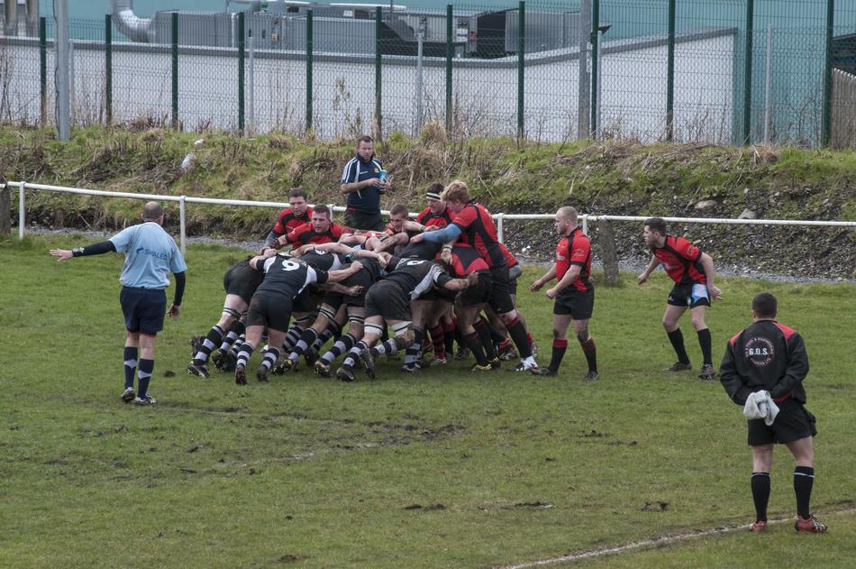 Rugby players on the green grass field