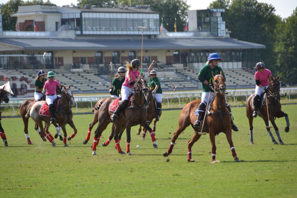 riders on horseback during a pirouette on the field