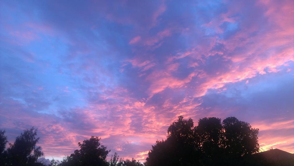 Tops of the trees, under the colorful and beautiful sky with sunset and clouds