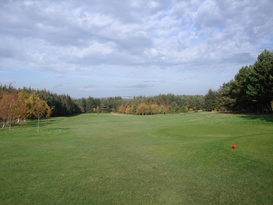 Golf Golfcourse Course