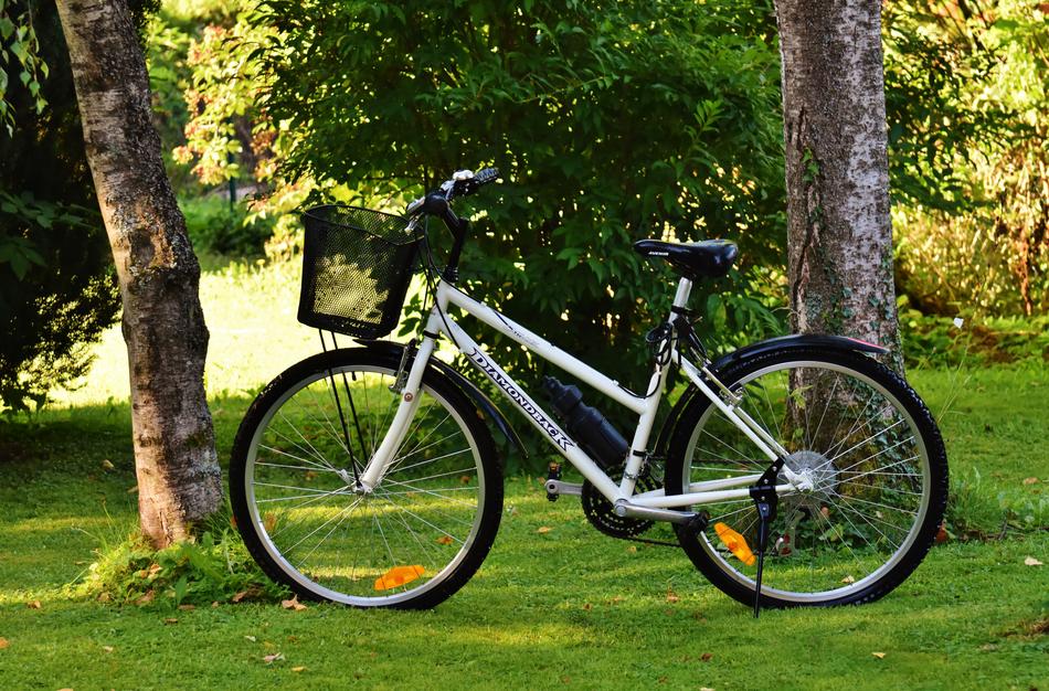 Bike standing on the grass, near the colorful and beautiful plants