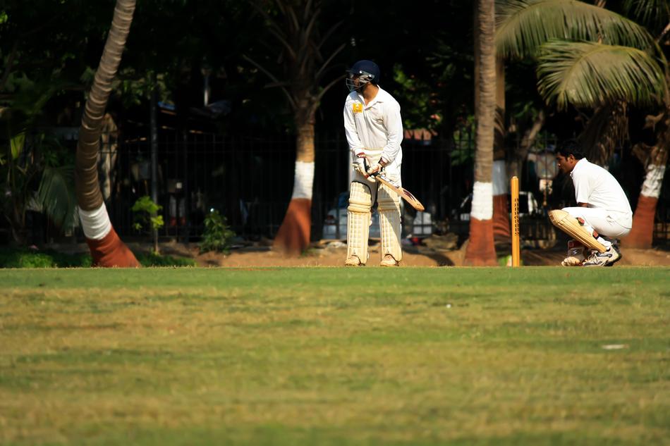 Wicketkeeper Cricket Defense