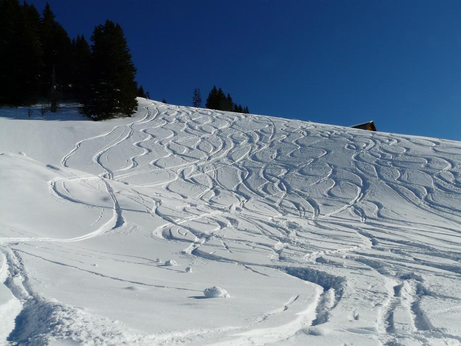 lot of ski tracks on deep snow