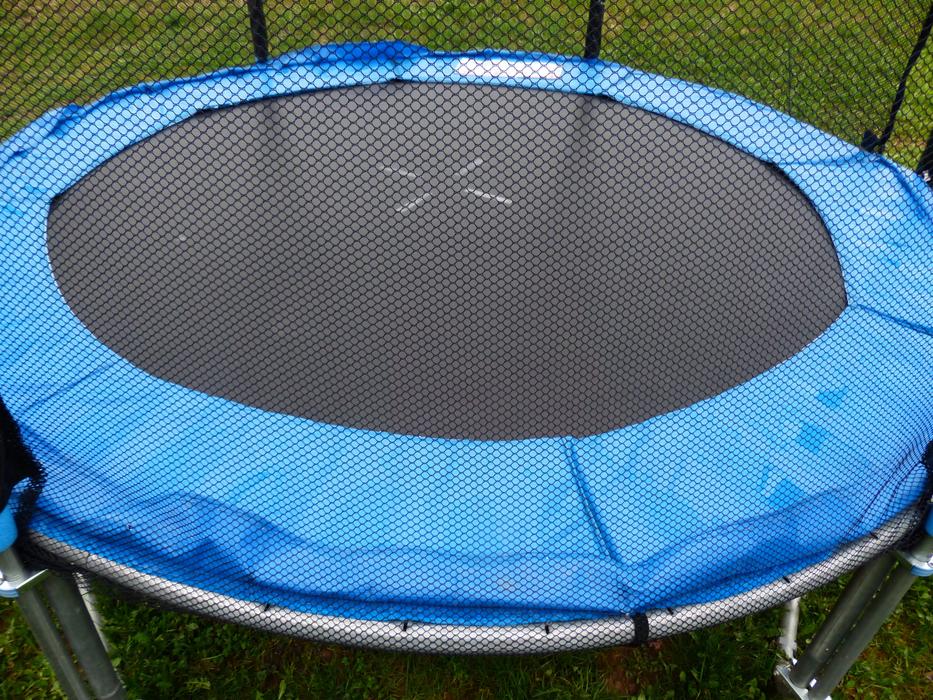 Close-up of the blue and black trampoline among the green plants