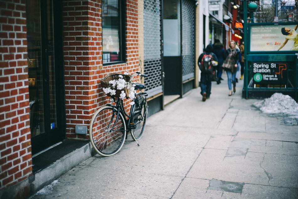 Flower White Petal city ​​street