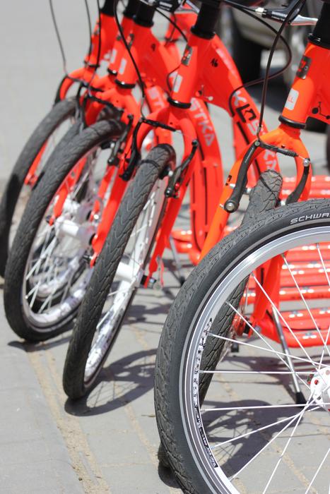 Row of the orange and black bikes, on the road in sunlight