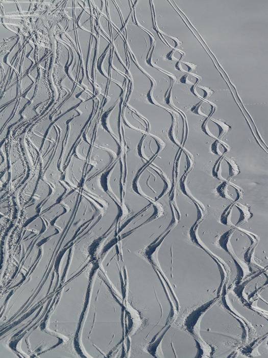 Skiing Departure Wag