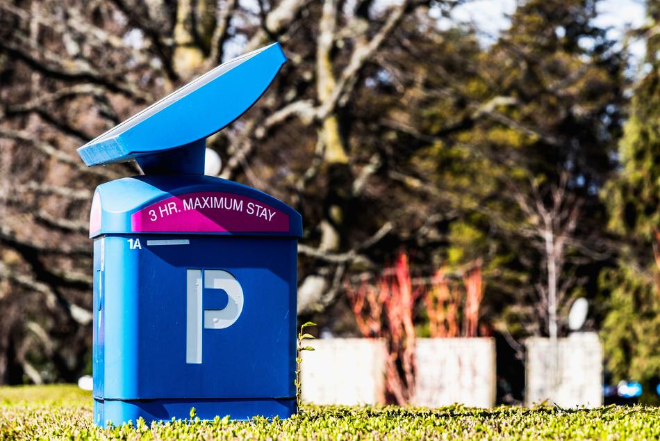 parking meter on grass on blurred background