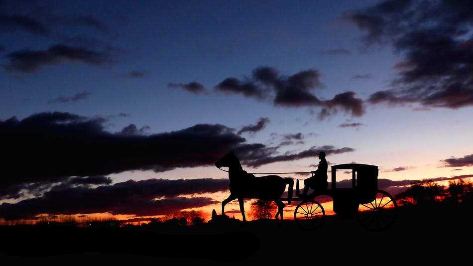 carriage ride on sunset background