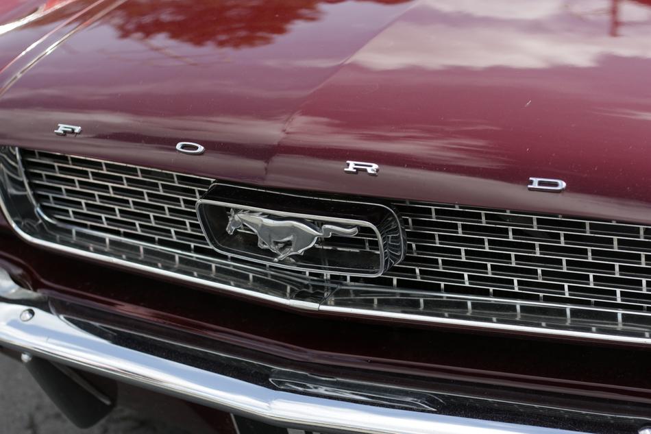 logo on cars on the front