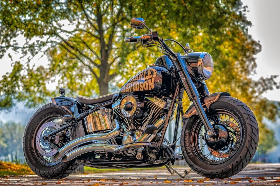 Harley Davidson Motorcycle Machine in the park