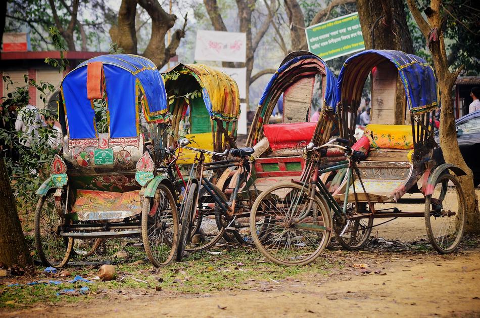 Colorful, vintage rickshaws on the street in Bangladesh, among the trees