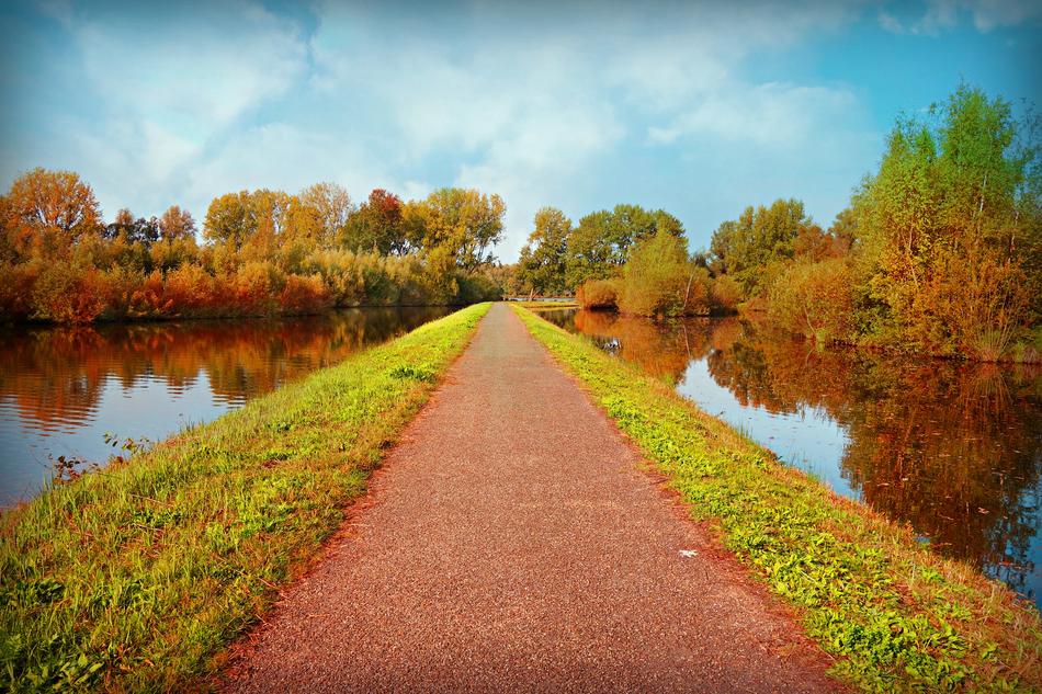 the road in the countryside and the reflection of autumn trees in the ditches
