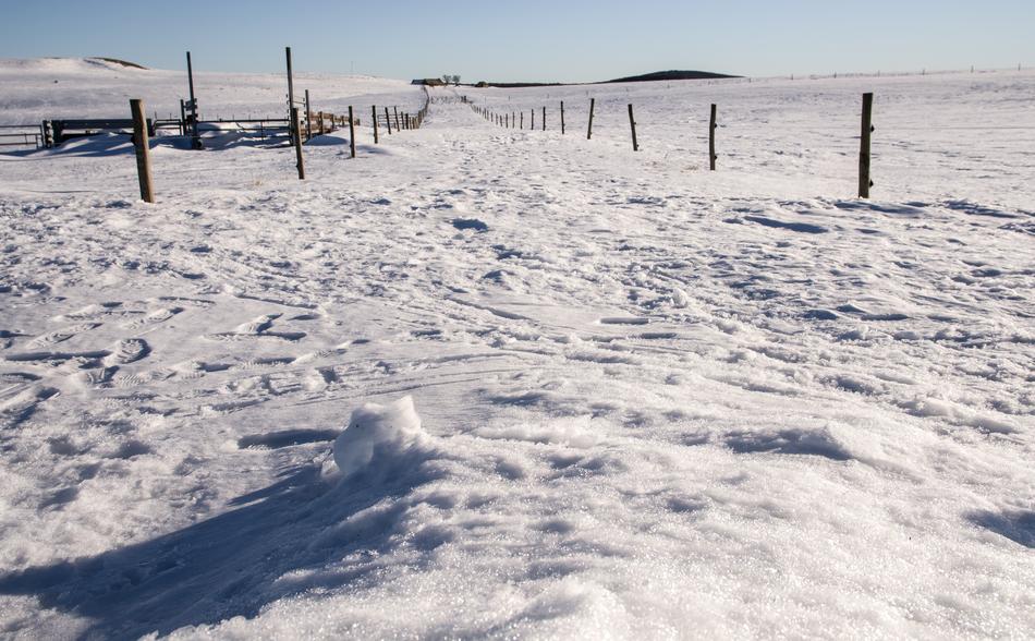 snowy road in Aubrac