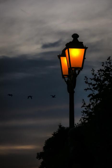 wonderful Lamp Lighting