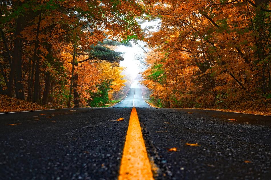 road beneath trees at Autumn