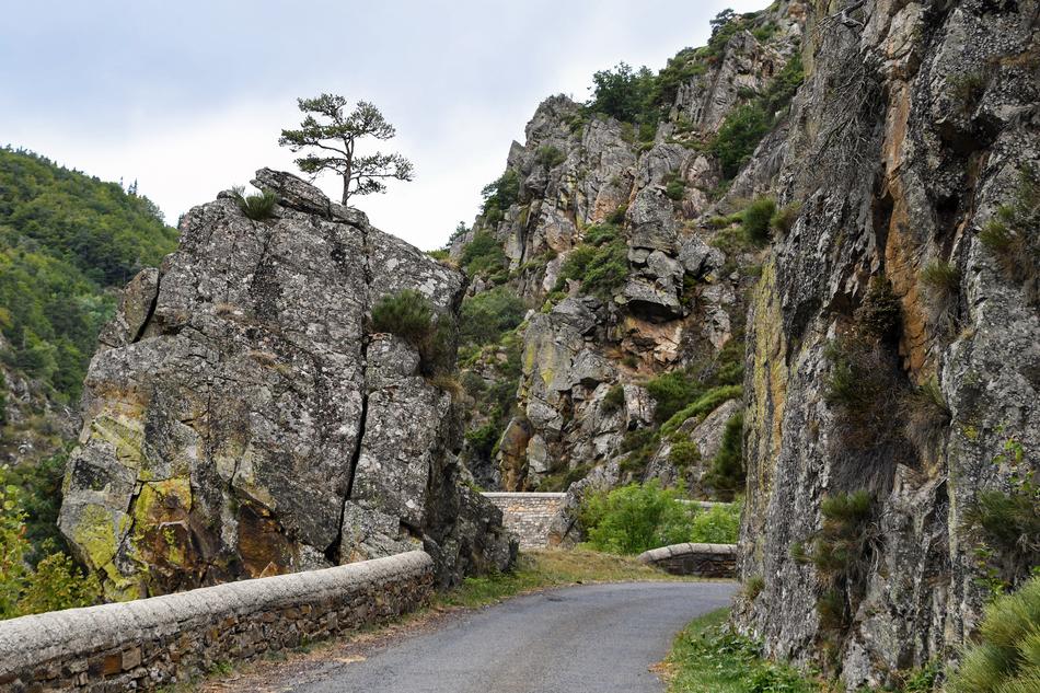 Road through scenic Rocks at summer, france, lozÃ¨re