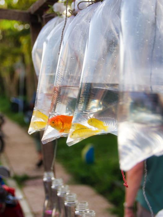 Fish Street on Bali