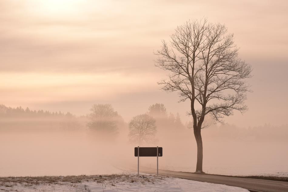 Nature Fog