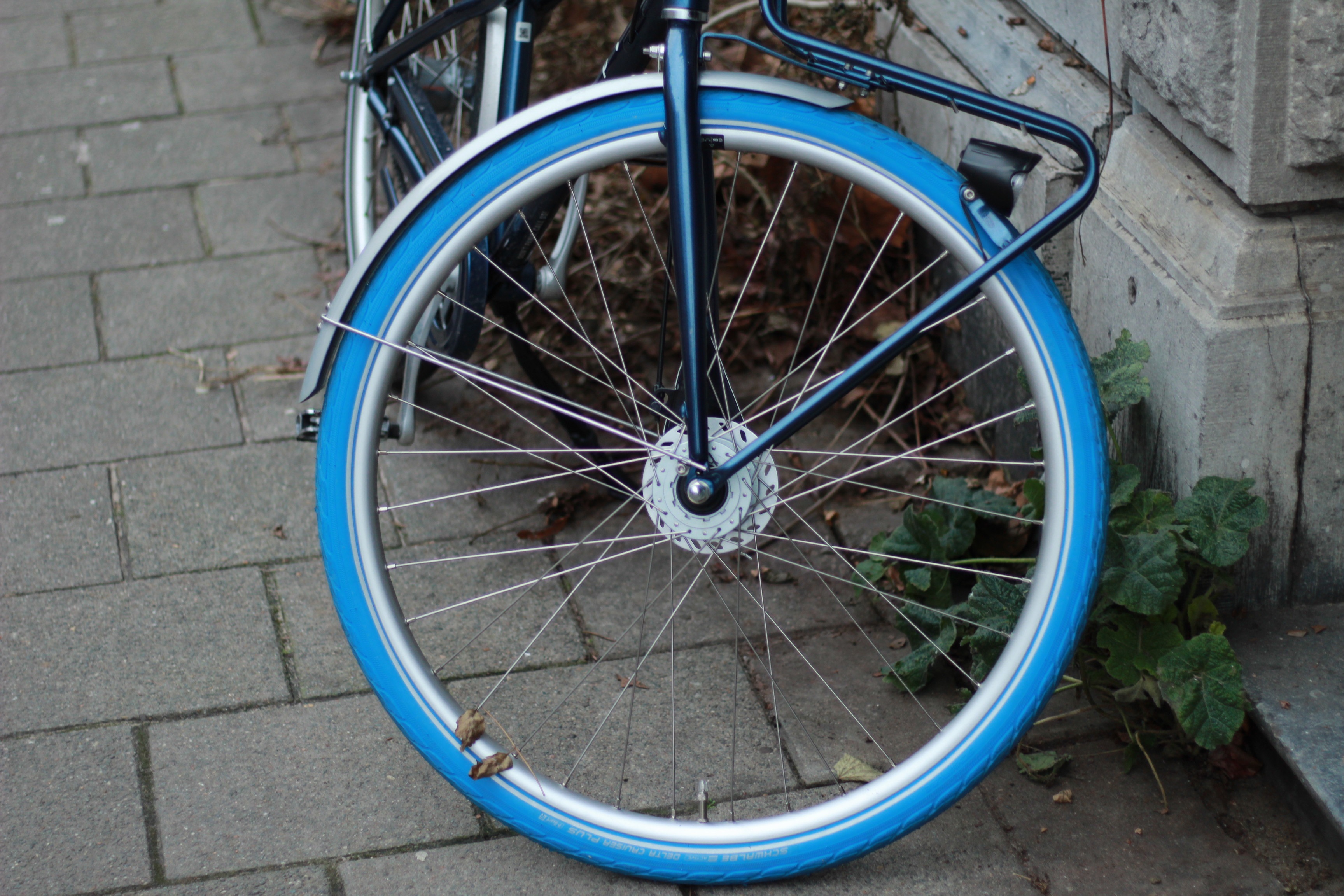 blue bicycle tires