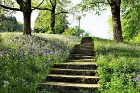 Stairs Park Garden