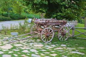 parked horse-drawn carriage