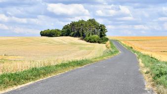 excellent Road Fields