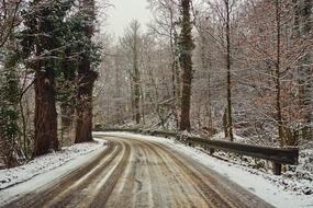 turn of the winter forest road