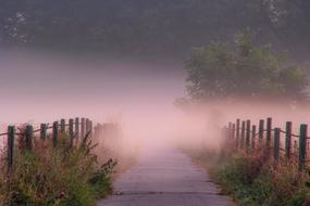 fenced walk path in Fog at dusk