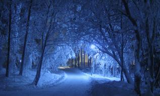 excellent Winter Night Blue