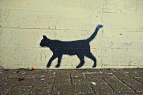 Cat Black Graffiti