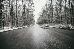 Car on the road among the forest covered in snow