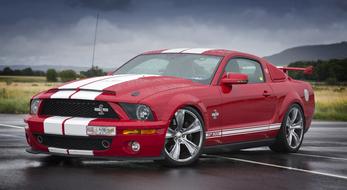 ford mustang Shelby, Muscle Car