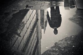 Rain Puddle
