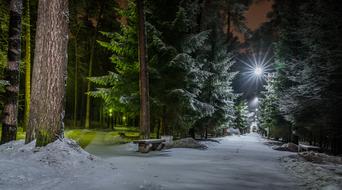 bench in the snow in the park