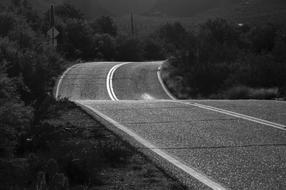 Black and white photo with the beautiful road, among the trees, in the morning, on the landscape in USA