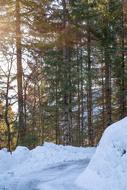 photo of turning winter road in the forest