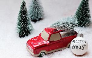 little trees and tree toys merry xmas