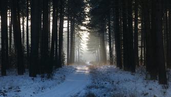 Fog Snow magic