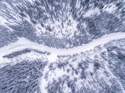 Aerial view of snowy road through forest