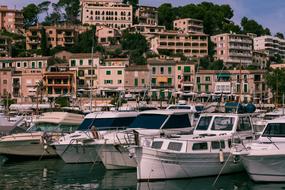 yachts in the bay in Port de Soller