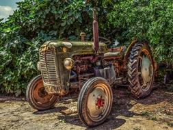 old rusty tractor on a background of green bushes