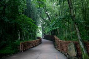 fenced walk path in scenic soswaewon garden, republic of korea, damyang
