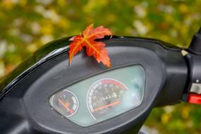 maple leaf on the motor scooter