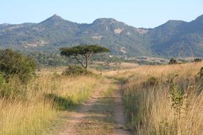 trail through savanna to scenic mountains, Africa