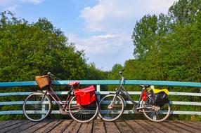 two bicycles are parked on a wooden bridge in a park