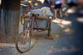 wonderful Beijing Hutong Bike