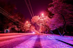 Beautiful, snowy road, among the trees, with the lights, in Moscow, Russia, at the night